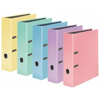 Falken Ordner A4 80 mm)