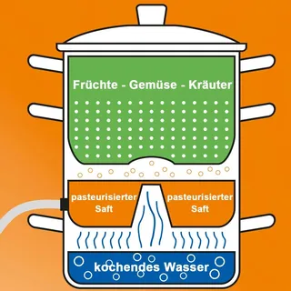 WMF Dampfentsafter 0797809990