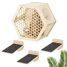 Katzen Kletterwand 4er Set - Katzenkletterregale wandmontiert - Wand Katzenmöbel Katzenwandregale platzsparend - Katzentreppe zum Klettern