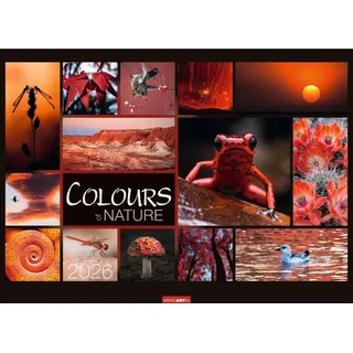 Weingarten Colours of Nature Kalender 2026