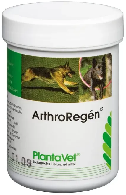 ArthroRegén® Tabletten 300 Tabletten