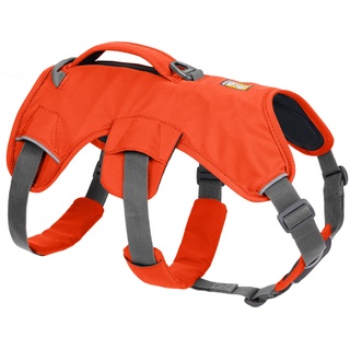 - Blaze Orange - 2XS