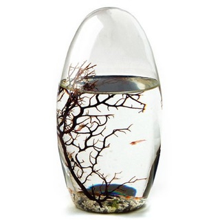 EcoSphere Kleines Oval-13cm White Line Dekoratives Ökosystem, Glas/weiß, 5 x 5 x 13 cm