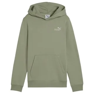 Puma Hoodie Green 140
