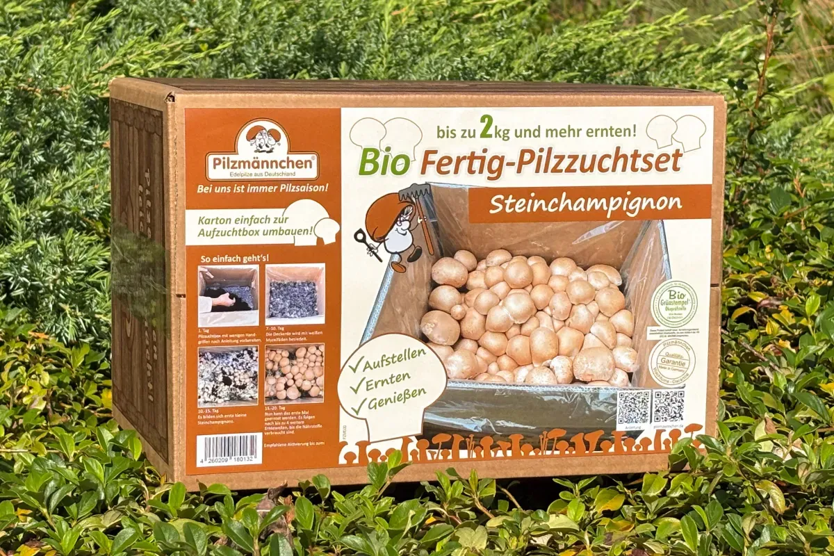 Bio Steinchampignon-Pilzzuchtset