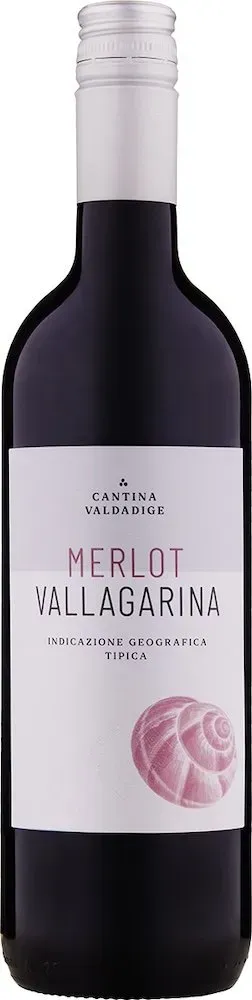 18er Set Cantina Valdadige Merlot Vallagarina 2024 - Versandkostenfrei!
