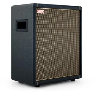 Positive Grid Spark CAB