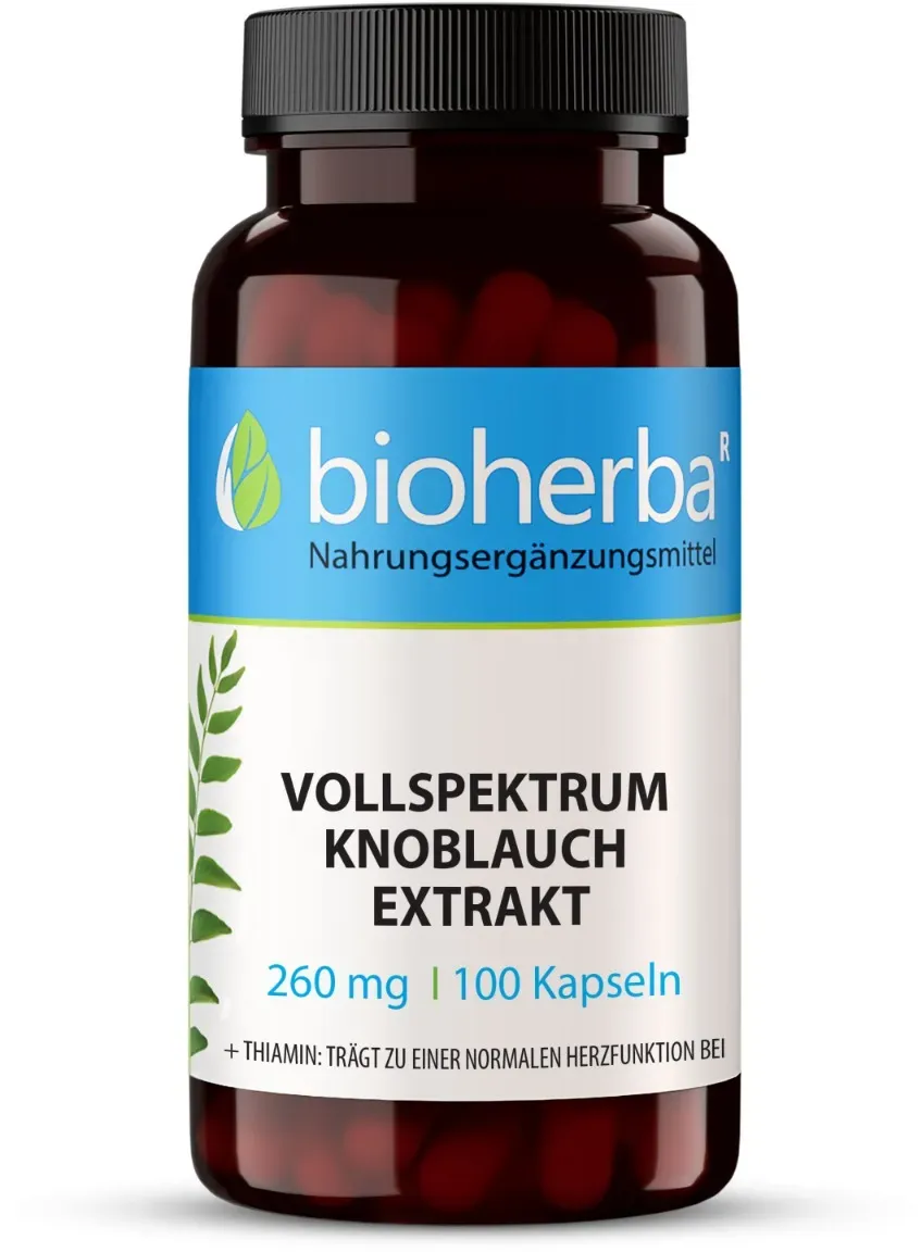 Vollspektrum Knoblauch Extrakt 260 mg 100 Kapseln