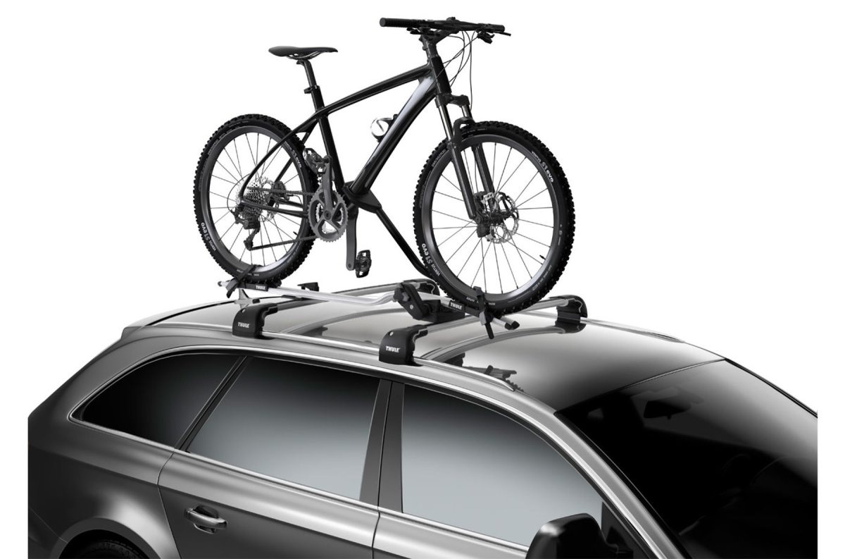 Thule 598001 Fahrräderhalter ProRide, Silber 150 x 23 x 7 cm