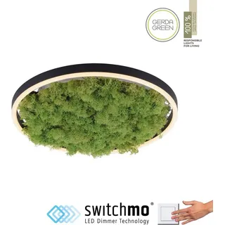 just light. LED-Deckenleuchte Gerda Ritus Moos 39 cm