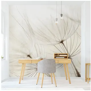 Bilderdepot24 Fototapete Blumen Sanfte Gräser Blumentapete Floral Natur Modern Kunst Pusteblume, Glatt, Matt, (Vliestapete inkl. Kleister oder selbstklebend), Wohnzimmer Schlafzimmer Küche Flur Motivtapete Vliestapete Wandtapete weiß 0.96 m x 0.96 m