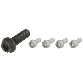 Continental CTAM Schraubensatz, Riemenscheibe-Kurbelwelle MS51