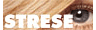 Shop Strese Logo
