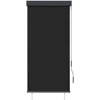vidaXL Außenrollo 80 x 250 cm Anthrazit