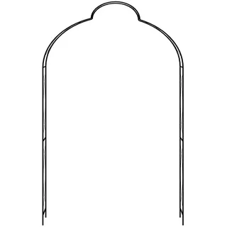 vidaXL Rosenbogen Schwarz 150 x 34 x 240 cm Eisen
