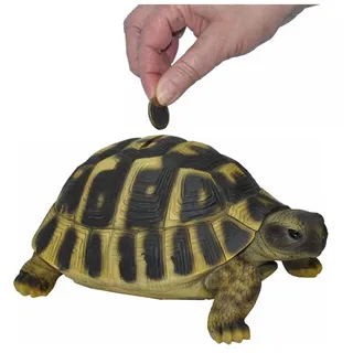 dazikemo Spardose Sparschwein große Schildkröte