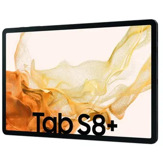 12.4" 8 GB RAM 128 GB Wi-Fi Graphit