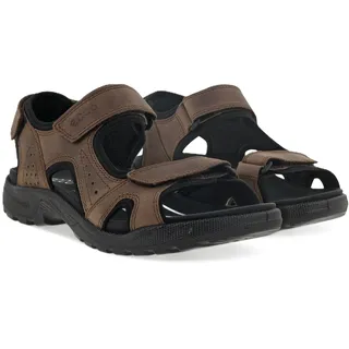 cocoa brown/black 47
