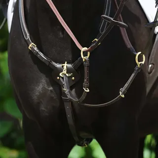 Passier Vorderzeug Marcus Ehning Havanna/Messing Warmblut