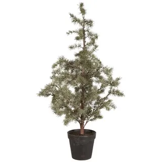 ib laursen Zederbaum im Topf, in grün Ø Gr.: XL