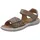 Beige 31