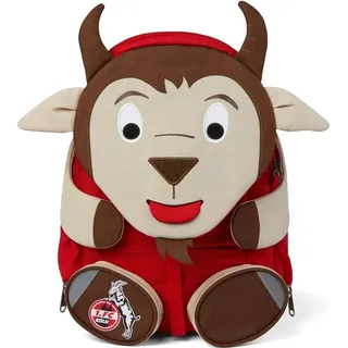 1. FC Köln Hennes