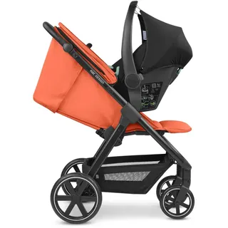 2024 karotte