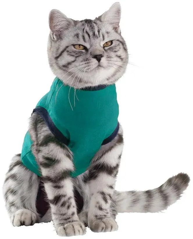 Jacketz Medical Body Katze