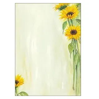 Sigel DP694 Kunstdruckpapier 25 Blatt