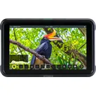Atomos Shinobi Foto- und Video-Monitor