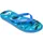QuiksilverTM MOLOKAI ART 25-39 Blau