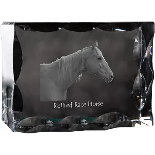 Rennpferd im Ruhestand - crystal with a picture of a horse, glass statuette with a picture, unique frame with a picture from Art-Dog brand