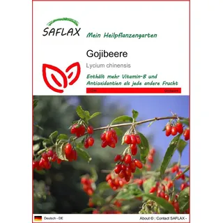SAFLAX - Heilpflanzen - Gojibeere - 200 Samen - Lycium chinensis