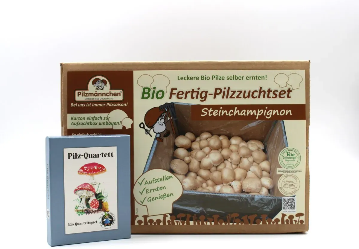 Geschenkset  Bio Steinchampignon Pilzzuchtset + Pilzquartett""