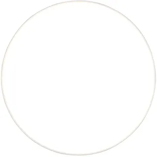 Trio Reality Leuchten LED Deckenleuchte SPICA weiß