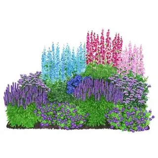 Stauden-Set Romantischer Garten, 12-teilig, Hellblau, Lila, Pink, Rosa
