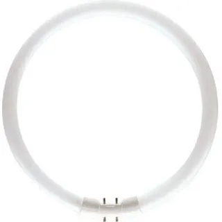 Philips Master TL5 Circular 22W/830 2GX13
