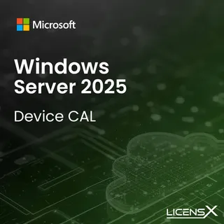 Microsoft Windows Server 2025 Device CAL