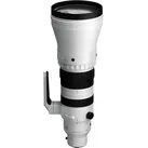 Sigma 300-600m F4 DG OS Sports für Sony E-Mount