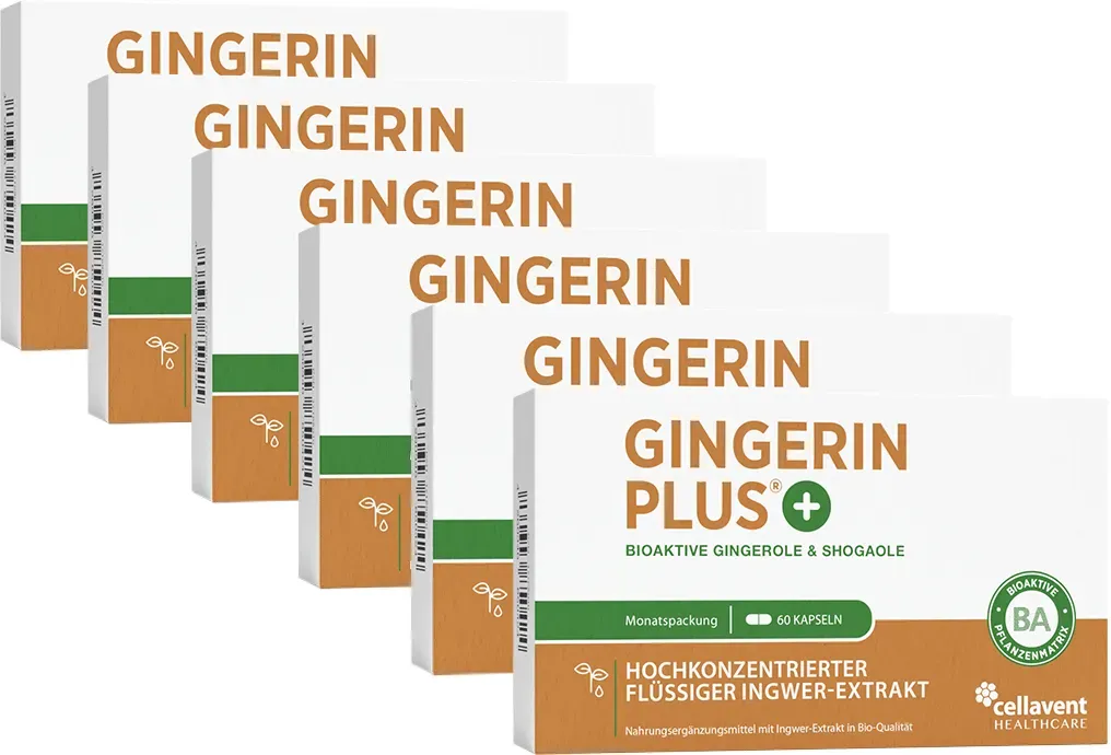 Bioaktiver Ingwer-Extrakt - Gingerin PLUS 6 Monate