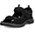 black 41