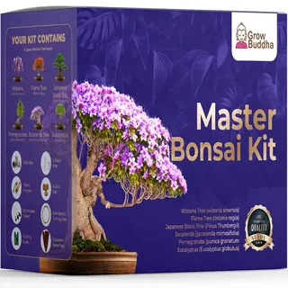 Master Bonsai Kit - Bonsai Grow Kit - Professional Grow & Shaping Bonsai Set - Japanese Bonsai - Seien Sie ein Bonsai Meister - Bonsai Baum Samen Set ideal für Indoor-Gartenbau