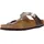 graceful taupe 39