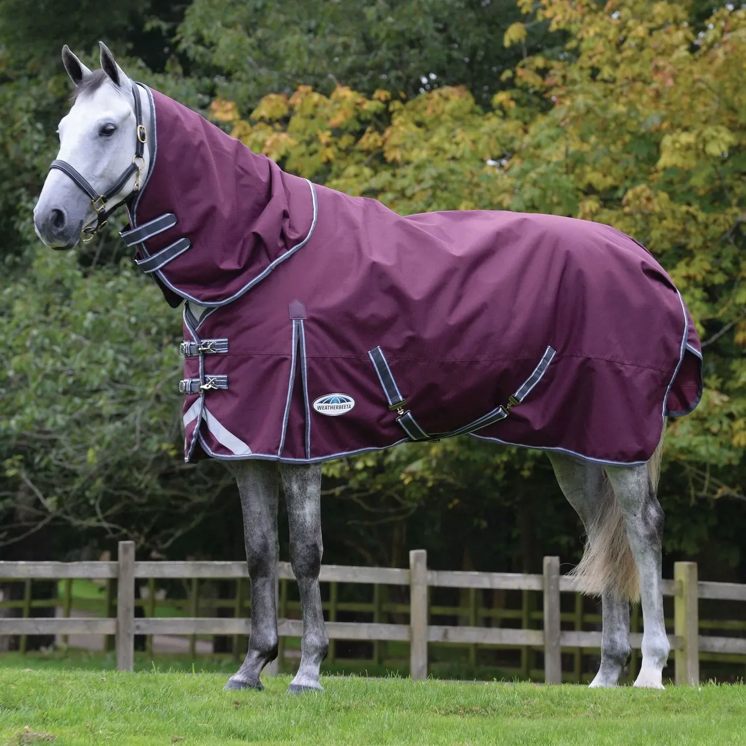 Weatherbeeta Comfitec Plus Dynamic II Detach-A-Neck Medium/Lite 100g - maroon/grey/white, 105