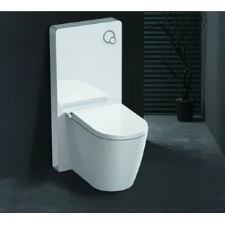 GD Weißglas Sanitärmodul für Stand-WC inkl. Betätigungsplatte