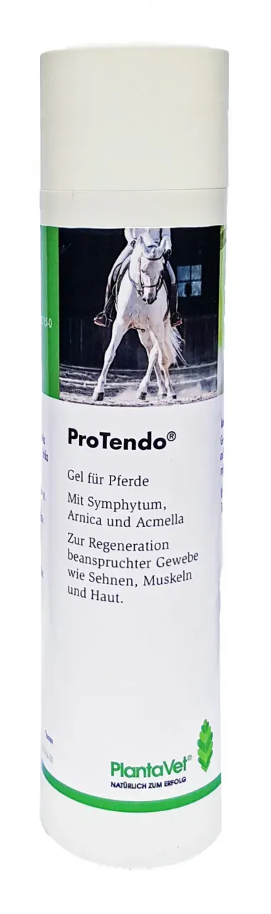 ProTendo