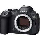 Canon EOS R6 Mark II Body (EU) (24.20 Mpx, Vollformat), Kamera, Schwarz