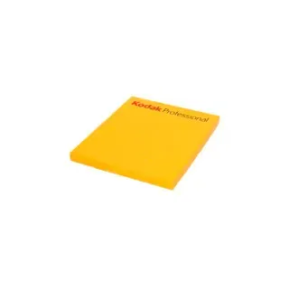 KODAK Portra 160 4x5 Inch 10 Blatt