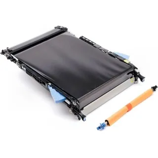 HP CF081-67904, Gürtel, Schwarz, Orange