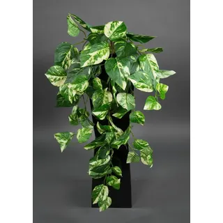 Kunstranke Photosranke grün-gelb PM Pflanzen Ranken Kunstrpflanzen künstlicher Photos, Seidenblumen Roß, Höhe 60 cm gelb|grün 60 cm